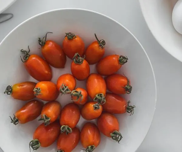 Alpha & Omega * Kerpe